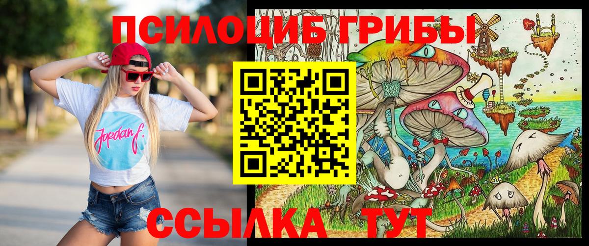 Галлюциногенные грибы Psilocybine cubensis Рубцовск